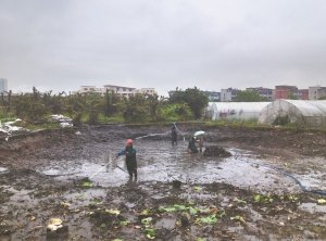 岳阳河道鱼塘清淤
